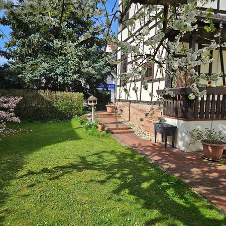 Apartments Am Saalebogen Mit Gartenterrasse & Grillkamin, Freie Parkplaetze Rudolstadt Exterior photo